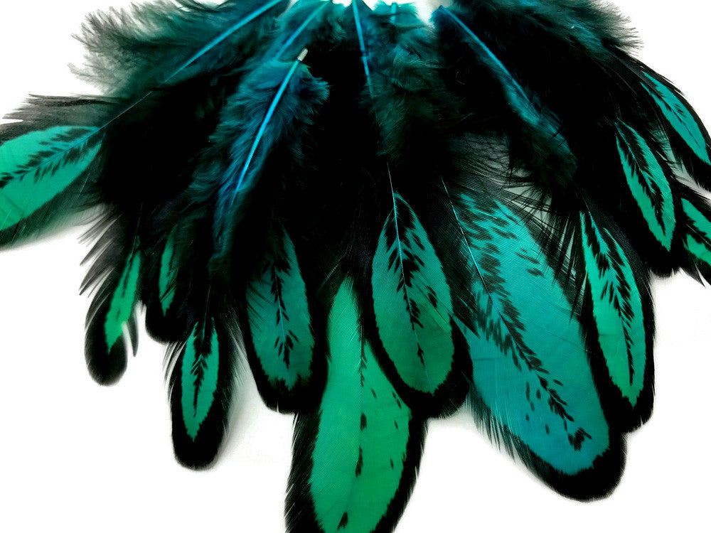 1 Dozen - Peacock Green Whiting Farms Laced Hen Saddle Feathers