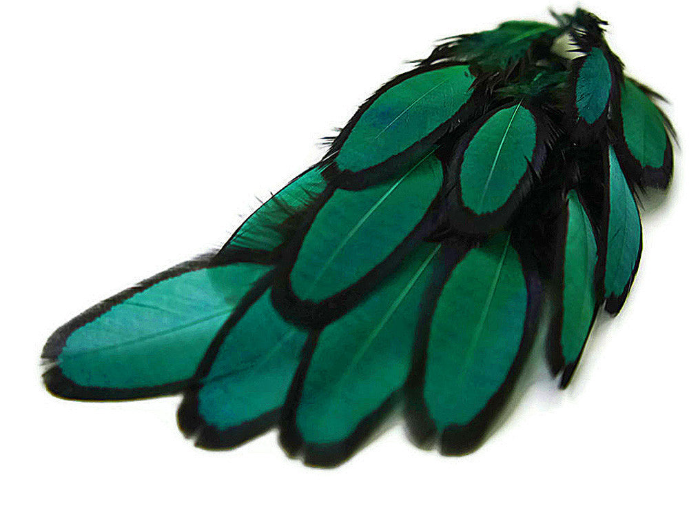 1 Dozen - Peacock Green Whiting Farms Laced Hen Saddle Feathers