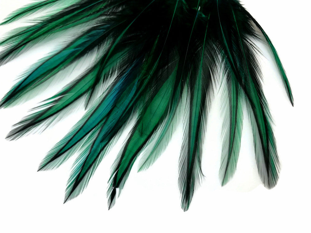 10 Pieces - Peacock Green Dyed BLW Laced Long Rooster Cape Whiting Farms Feathers