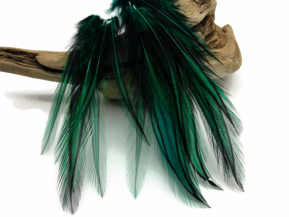 10 Pieces - Peacock Green Dyed BLW Laced Long Rooster Cape Whiting Farms Feathers