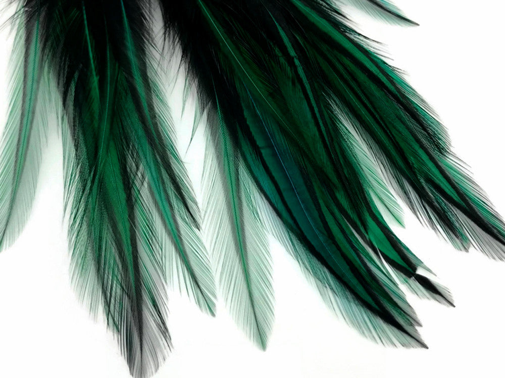 10 Pieces - Peacock Green Dyed BLW Laced Long Rooster Cape Whiting Farms Feathers