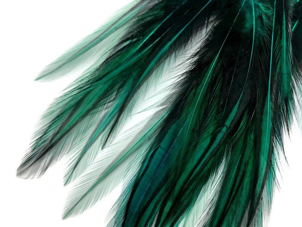 10 Pieces - Peacock Green Dyed BLW Laced Long Rooster Cape Whiting Farms Feathers