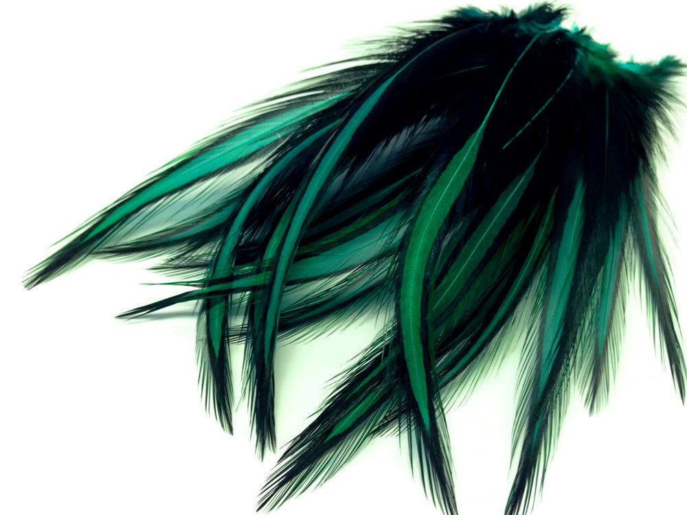 10 Pieces - Peacock Green Dyed BLW Laced Long Rooster Cape Whiting Farms Feathers