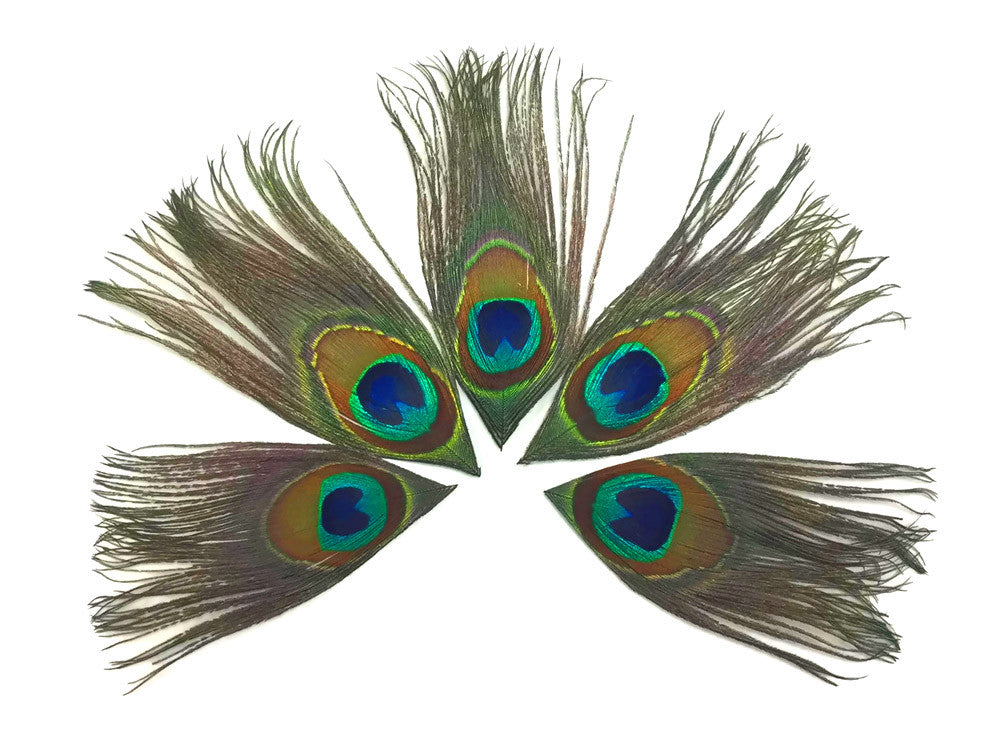 10 Pieces - Full Eye Trimmed Natural Peacock Tail Feathers