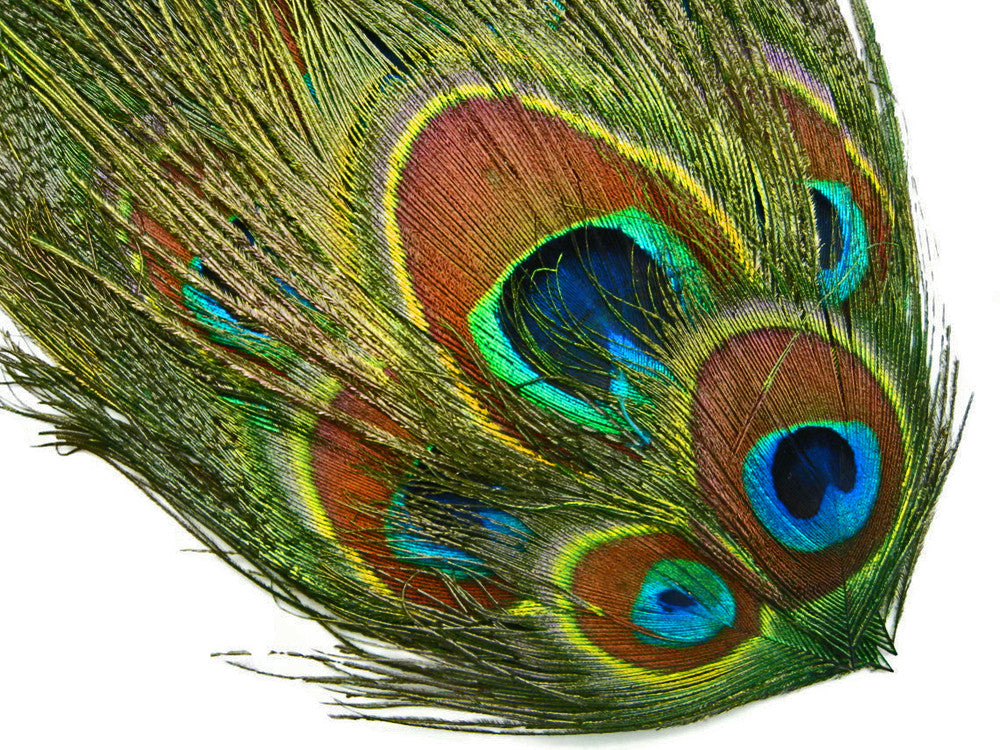 1 Piece - Natural Iridescent Green Uncut Peacock Eye Handmade Feather Pad