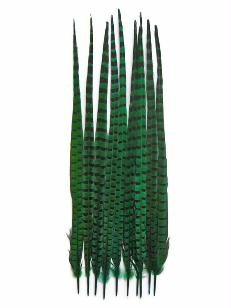 50 Pieces - 18-22" Peacock Green Dyed Over Natural Long Ringneck Pheasant Tail Wholesale Feathers (Bulk)