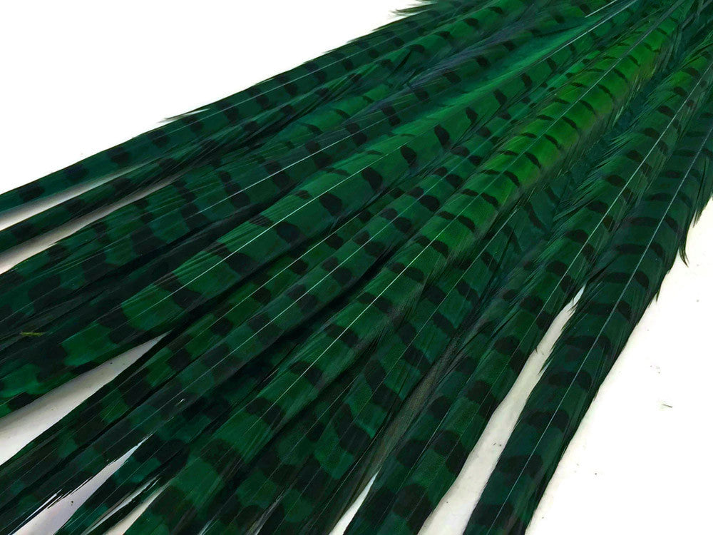 10 Pieces - 18-22" Peacock Green Dyed Over Natural Long Ringneck Pheasant Tail Feathers