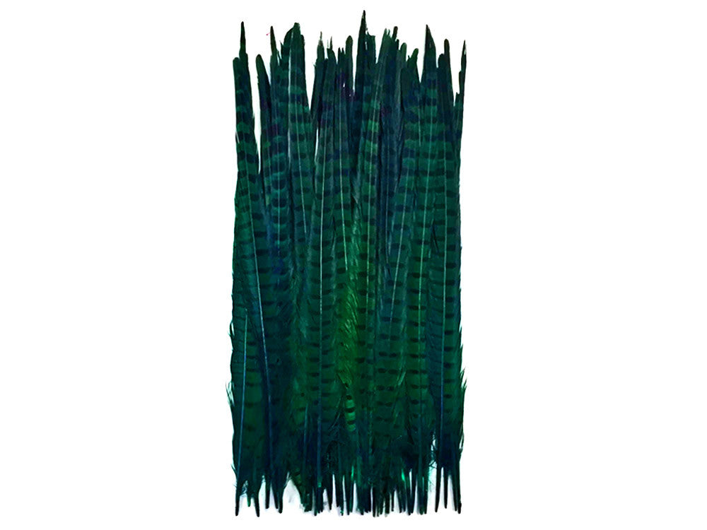 10 Pieces - 18-22" Peacock Green Dyed Over Natural Long Ringneck Pheasant Tail Feathers