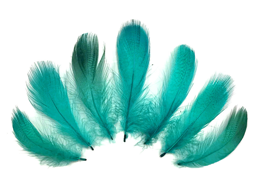 1 Pack - Peacock Green Mallard Duck Flank Plumage Feathers 0.10 Oz.