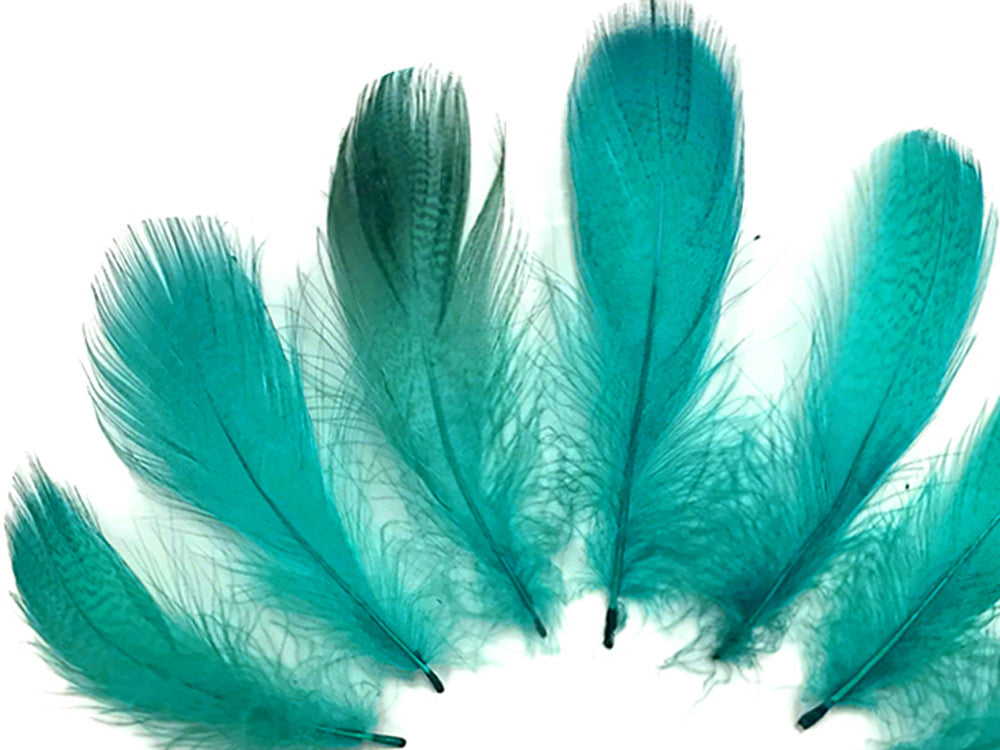 1 Pack - Peacock Green Mallard Duck Flank Plumage Feathers 0.10 Oz.