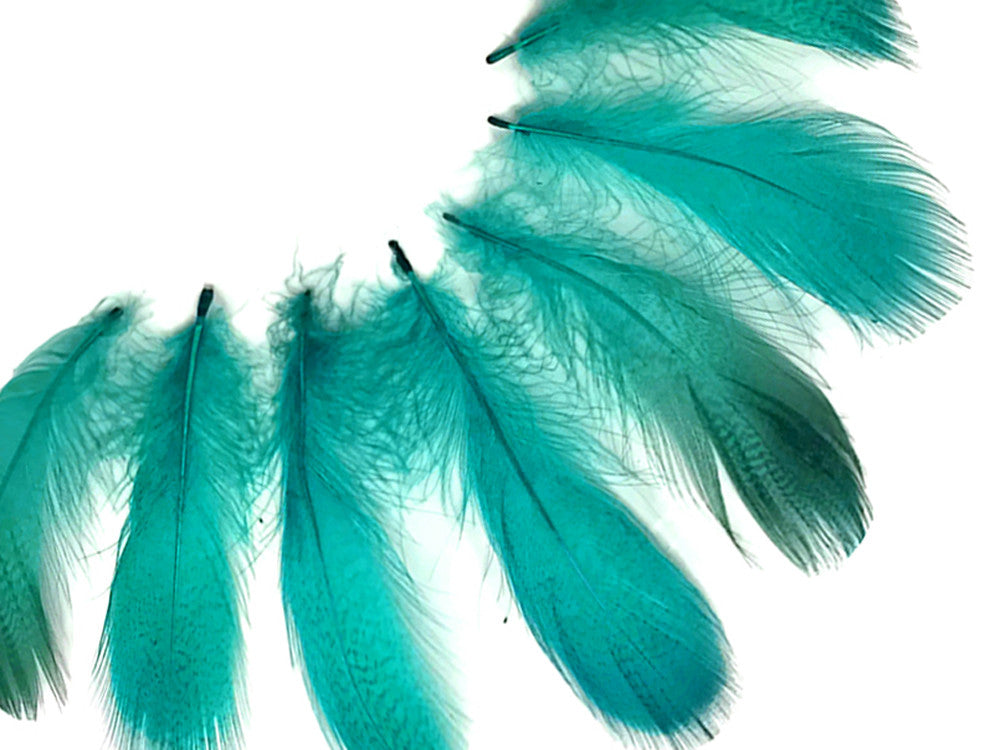 1 Pack - Peacock Green Mallard Duck Flank Plumage Feathers 0.10 Oz.