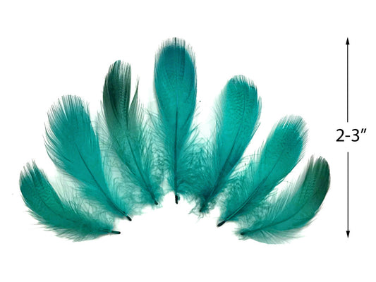 1 Pack - Peacock Green Mallard Duck Flank Plumage Feathers 0.10 Oz.