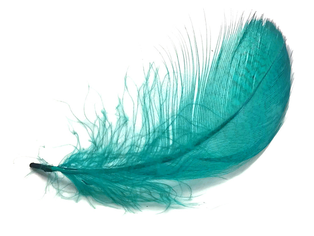 1 Pack - Peacock Green Mallard Duck Flank Plumage Feathers 0.10 Oz.