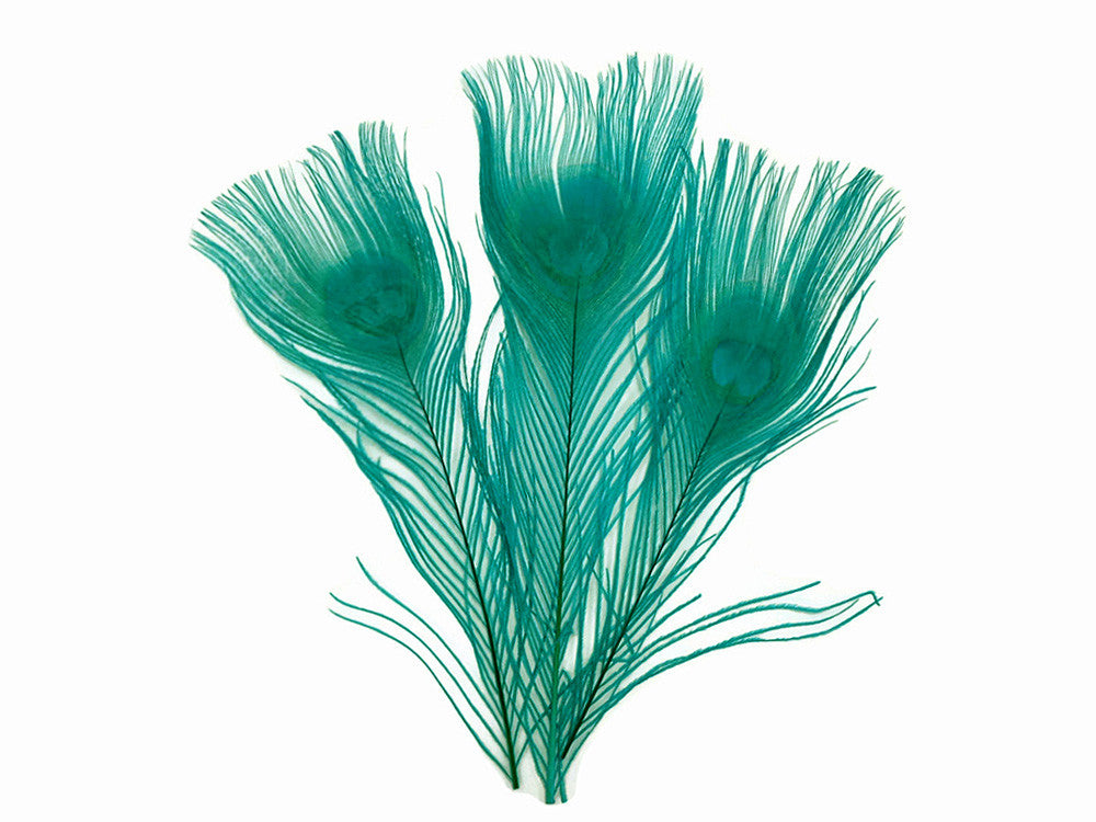 5 Pieces – Peacock Green Bleached & Dyed Peacock Tail Eye Feathers 10-12” Long 