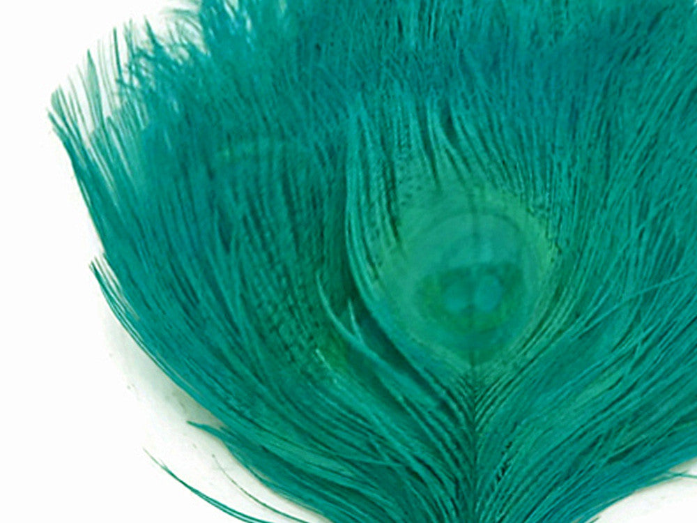 5 Pieces – Peacock Green Bleached & Dyed Peacock Tail Eye Feathers 10-12” Long 