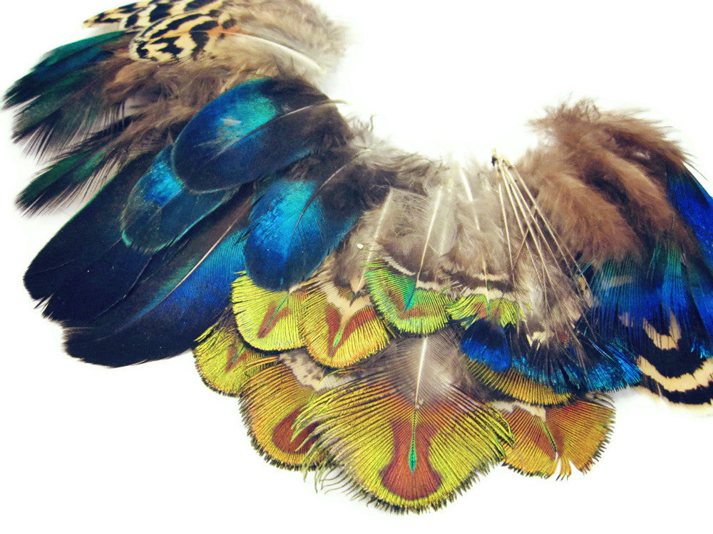 10 Pieces - Electric Blue Iridescent Peacock Round Plumage Feathers