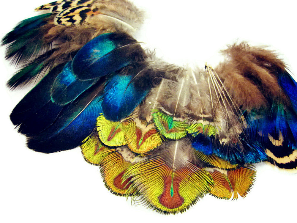 10 Pieces - Iridescent Green Gold Peacock Plumage Loose Feather