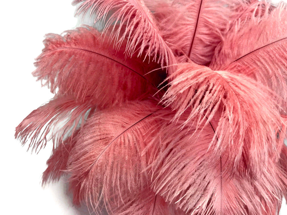 100 Pieces - 8-10" Pink Blush Ostrich Dyed Drab Body Wholesale Feathers (Bulk)