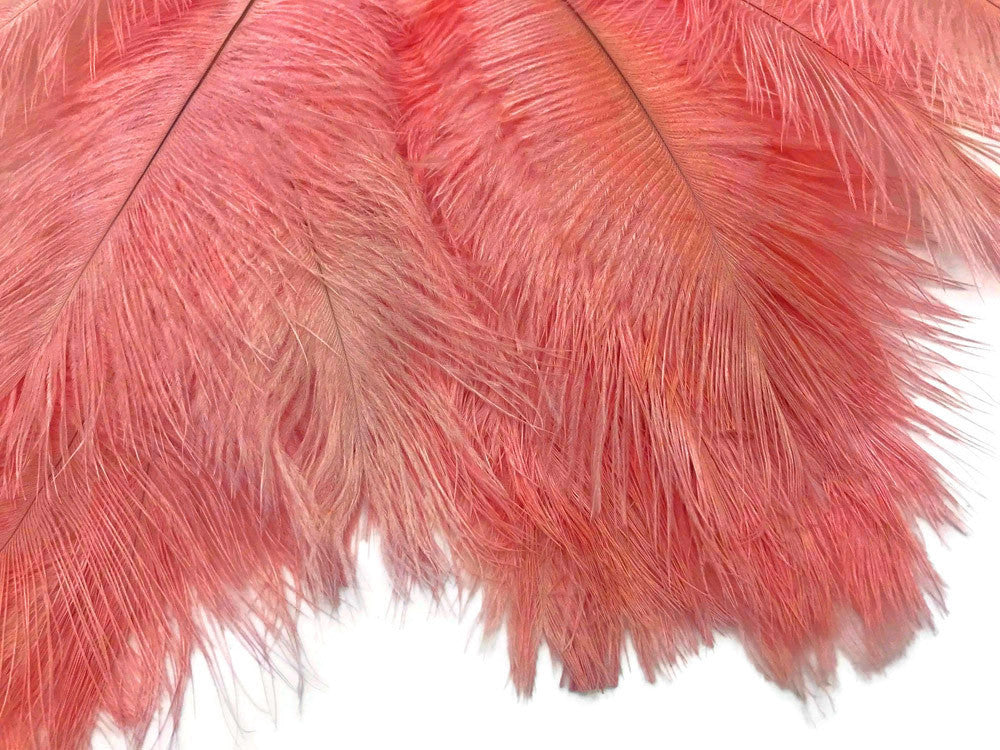 10 Pieces - 6-8" Pink Blush Ostrich Body Dyed Drabs Feathers