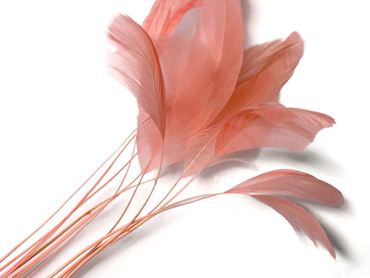 1 Dozen - Pink Blush Stripped Rooster Coque Tail Feathers