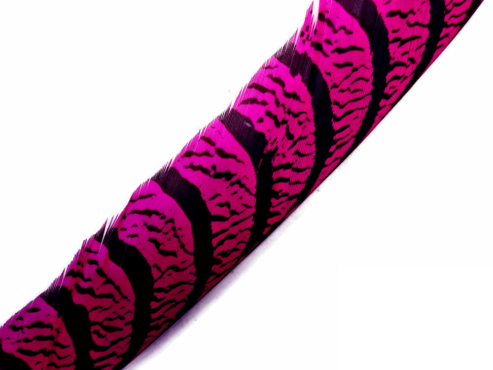 5 Pieces - 30-35" Hot Pink Zebra Lady Amherst Pheasant Tail Super Long Feathers