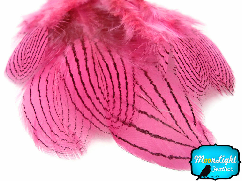 1 Dozen - Pink Silver Pheasant Feathers