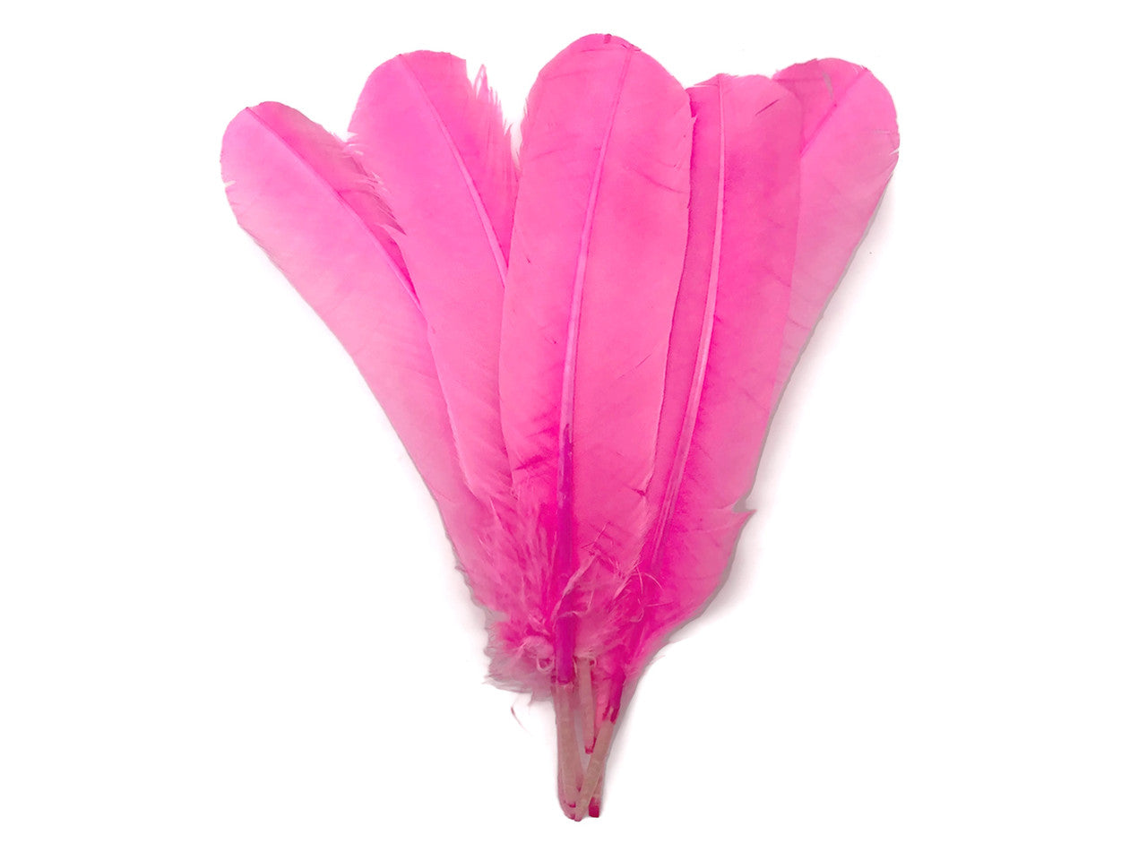 6 Pieces - Pink Turkey Rounds Secondary Wing Quill Feathers