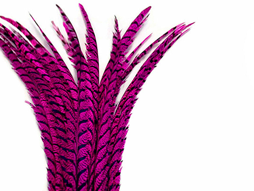 5 Pieces - 30-35" Hot Pink Zebra Lady Amherst Pheasant Tail Super Long Feathers