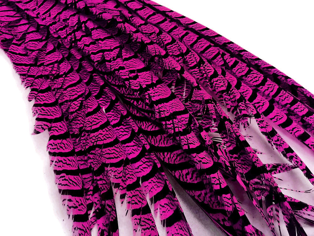 5 Pieces - 30-35" Hot Pink Zebra Lady Amherst Pheasant Tail Super Long Feathers