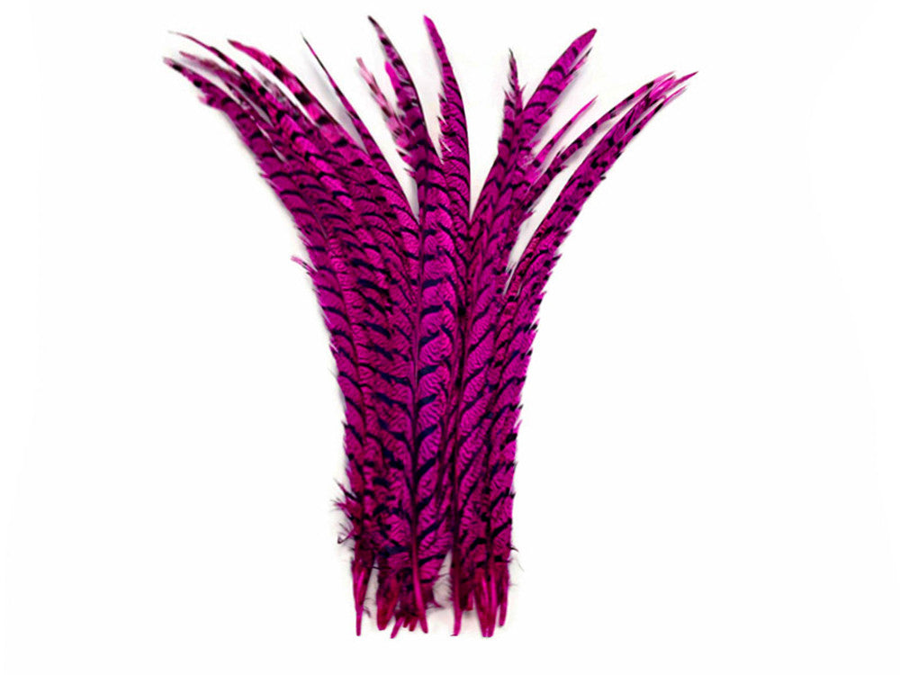 5 Pieces - 30-35" Hot Pink Zebra Lady Amherst Pheasant Tail Super Long Feathers