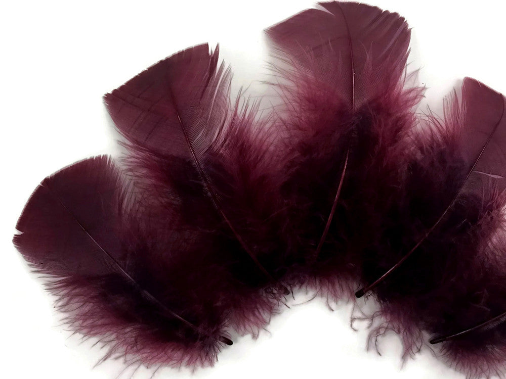 1 Pack - Plum Dyed Turkey T-Base triangle Body Plumage Feathers 0.50 Oz.