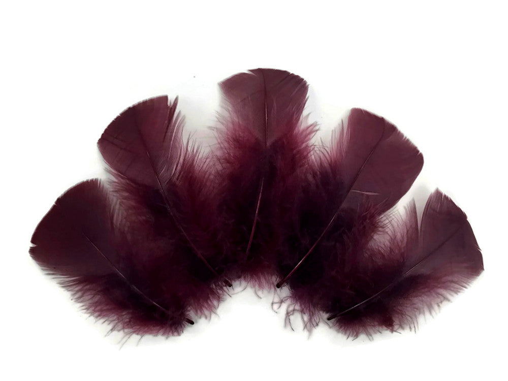 1 Pack - Plum Dyed Turkey T-Base triangle Body Plumage Feathers 0.50 Oz.