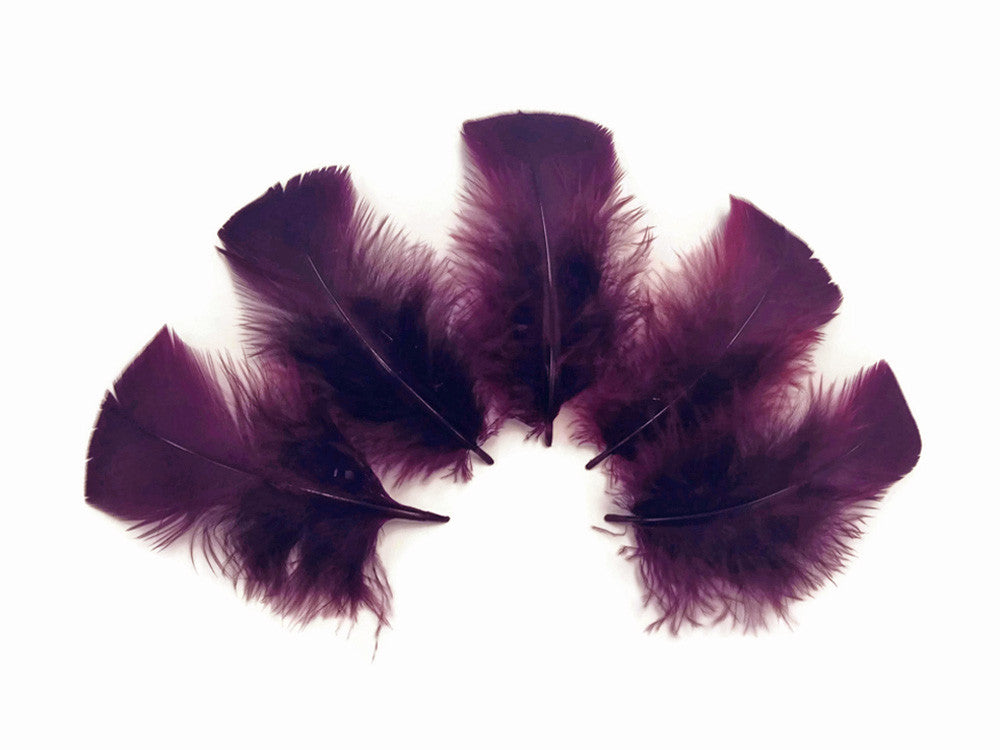 1 Pack - Plum Dyed Turkey T-Base triangle Body Plumage Feathers 0.50 Oz.