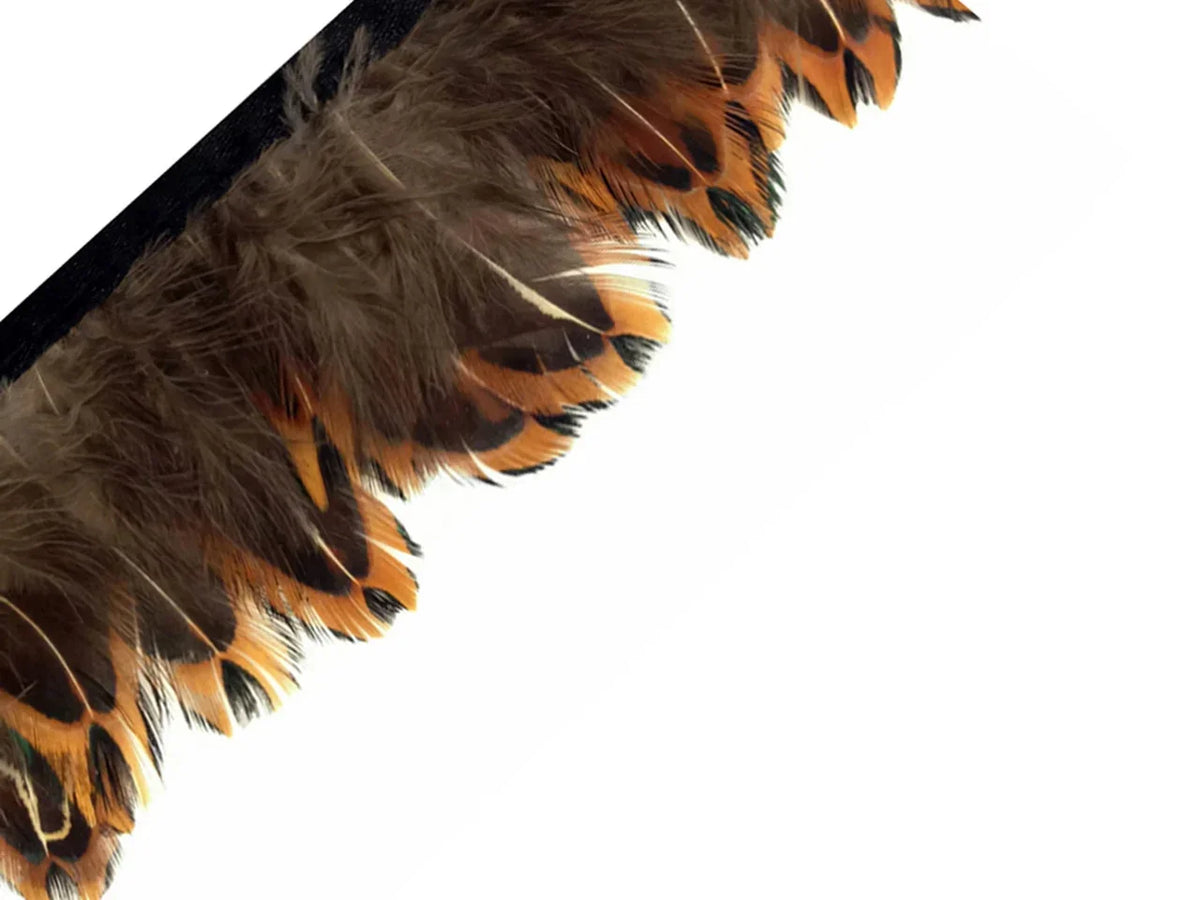 Brown and orange patterned feathers for DIY crafts and fashion accessories.