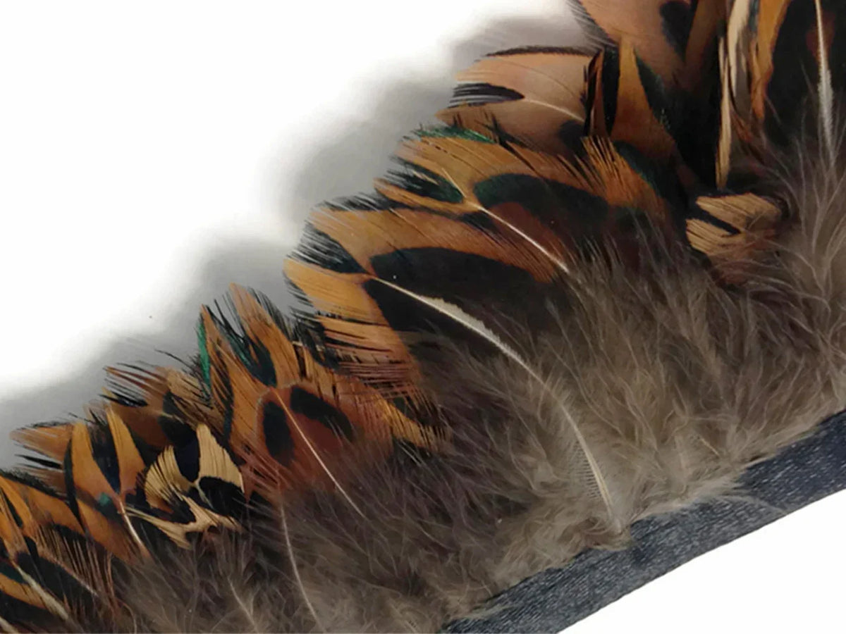 Natural peacock feathers with brown and teal accents for DIY crafts and fashion décor.