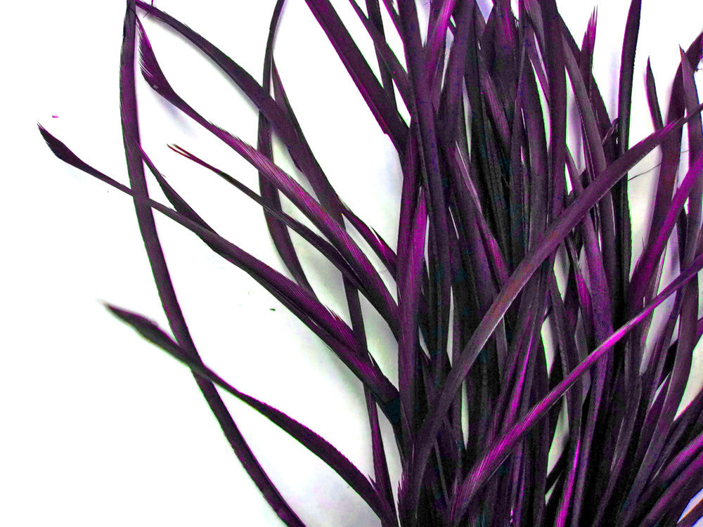 1 Yard - Purple Goose Biots Stripped Wing Wholesale Feather Trim