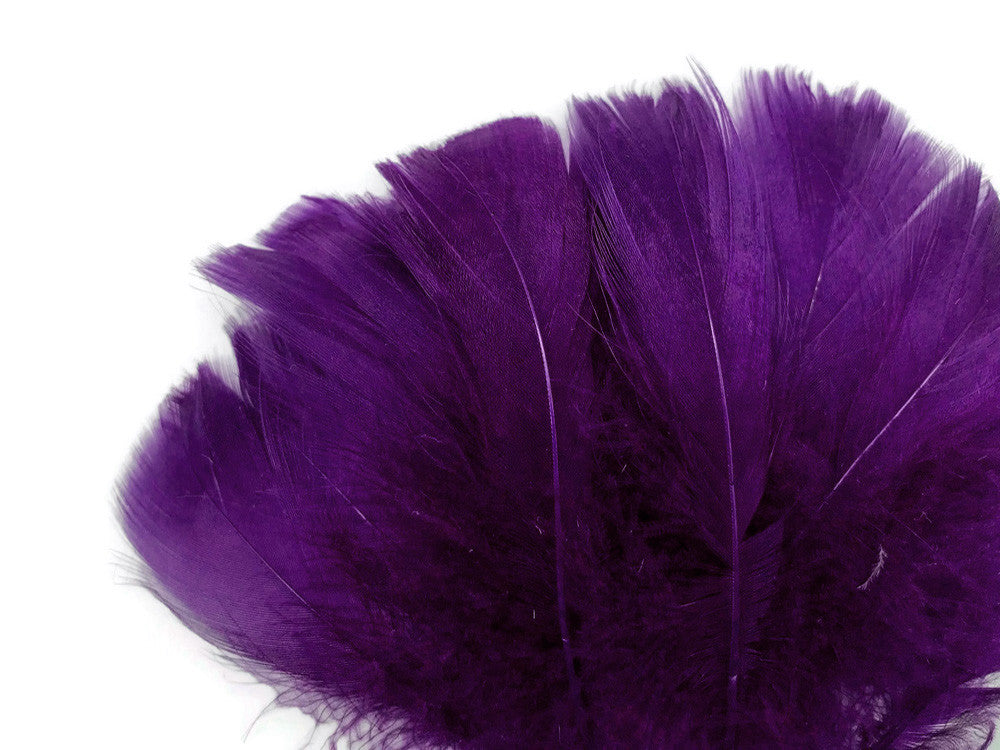 1/4 Lb - 2-3" Purple Goose Coquille Loose Wholesale Feathers (Bulk)