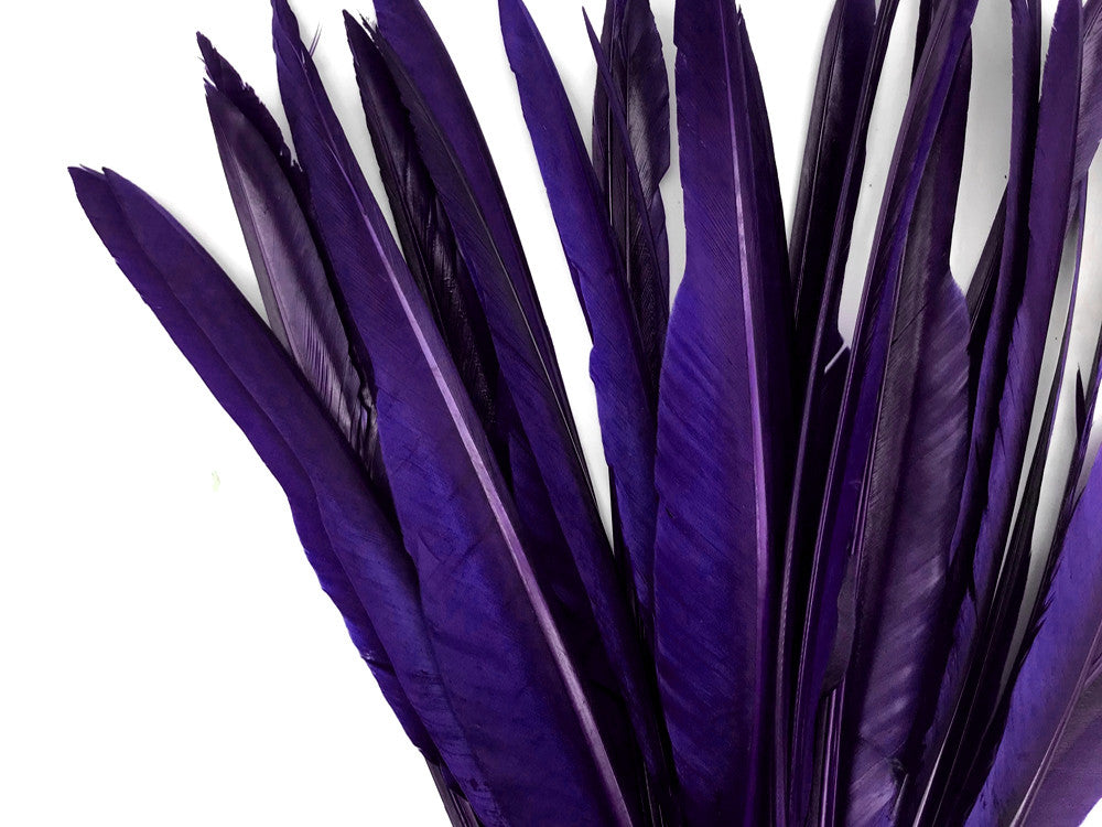 1/4 Lb. - Purple Goose Pointers Long Primaries Wing Wholesale Feathers (Bulk)