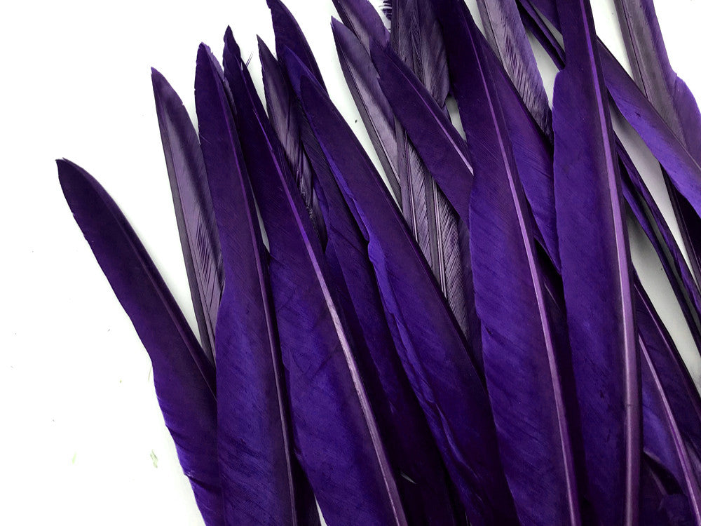 10 Pieces - Purple Goose Pointers Long Primaries Wing Feathers