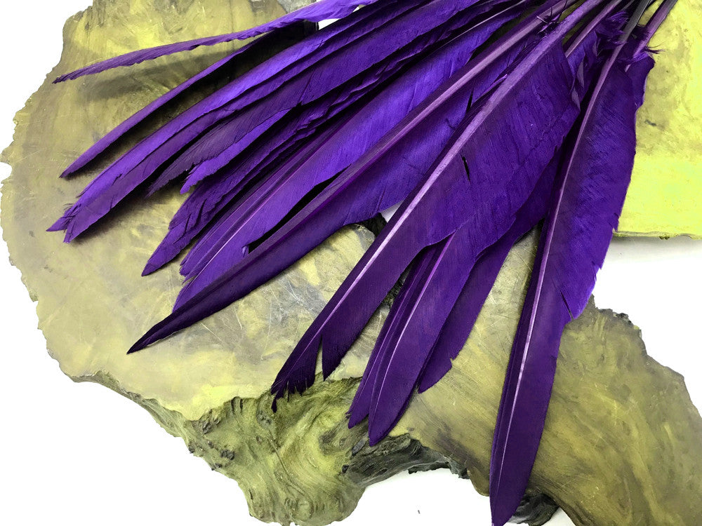 1/4 Lb. - Purple Goose Pointers Long Primaries Wing Wholesale Feathers (Bulk)