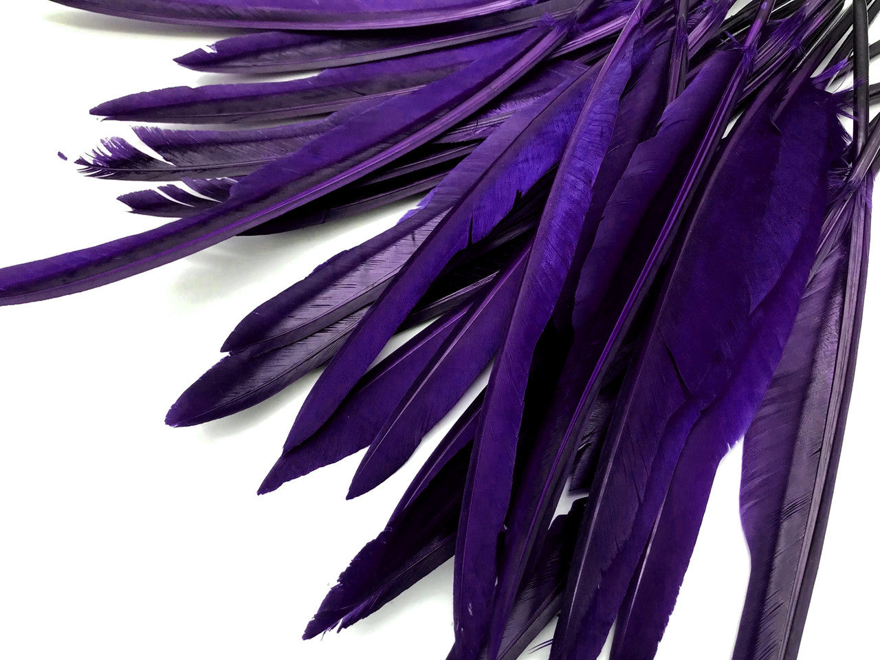 1/4 Lb. - Purple Goose Pointers Long Primaries Wing Wholesale Feathers (Bulk)