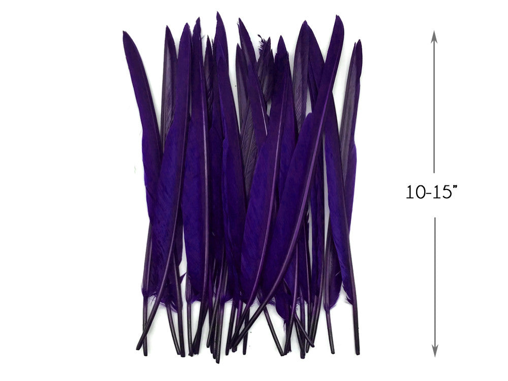 1/4 Lb. - Purple Goose Pointers Long Primaries Wing Wholesale Feathers (Bulk)