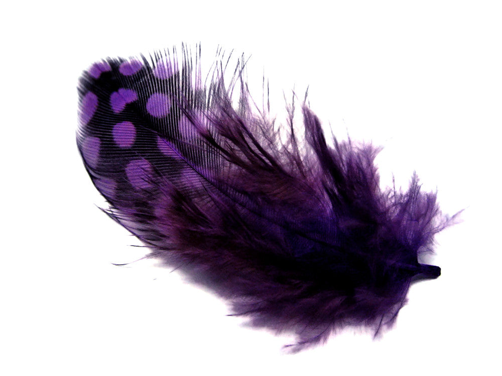 1/4 Lb - Purple Guinea Hen Plumage Polka Dot Feathers Wholesale (Bulk)