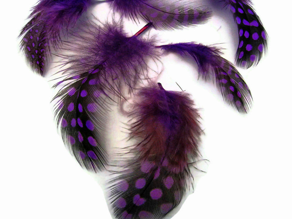 1/4 Lb - Purple Guinea Hen Plumage Polka Dot Feathers Wholesale (Bulk)