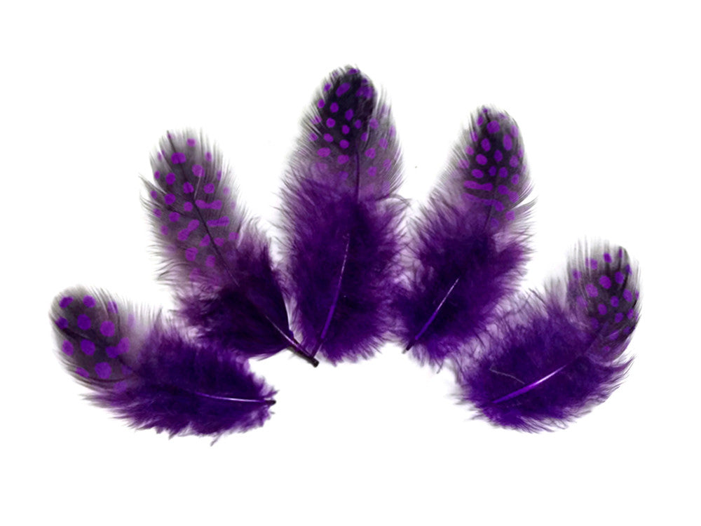 1 Pack - Purple Guinea Hen Polka Dot Plumage Feathers 0.10 Oz.