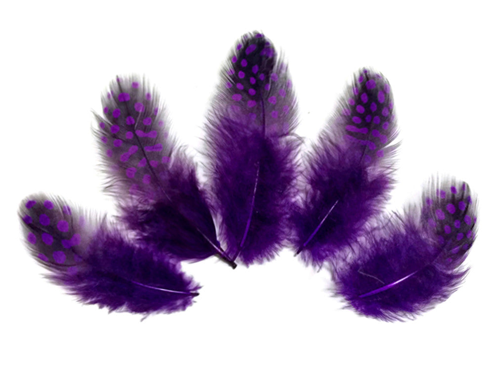 1/4 Lb - Purple Guinea Hen Plumage Polka Dot Feathers Wholesale (Bulk)