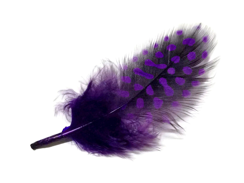 1 Pack - Purple Guinea Hen Polka Dot Plumage Feathers 0.10 Oz.