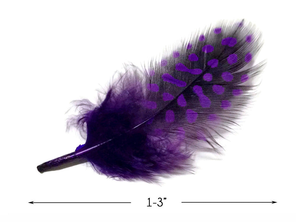 1/4 Lb - Purple Guinea Hen Plumage Polka Dot Feathers Wholesale (Bulk)