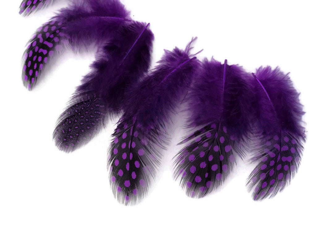 1/4 Lb - Purple Guinea Hen Plumage Polka Dot Feathers Wholesale (Bulk)