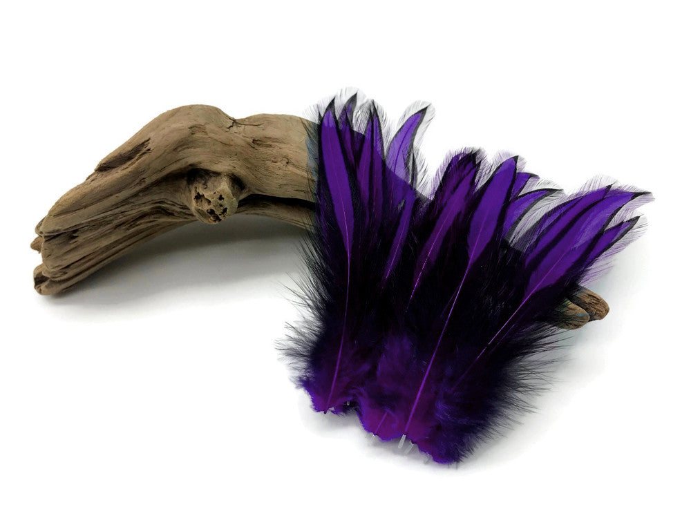 10 Pieces - Purple Dyed BLW Laced Long Rooster Cape Whiting Farms Feathers